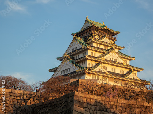 Landscape of Osaka Castle Park in early spring. photo