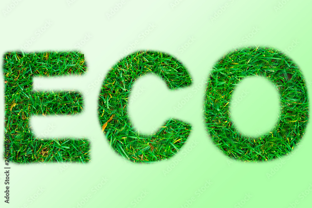 Texture on the background, green small grass with a white circle for the inscription, on the whole frame