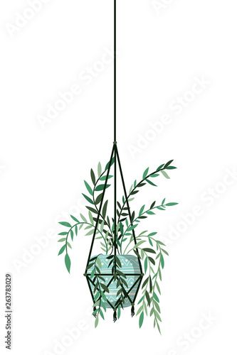 houseplant on macrame hangers icon