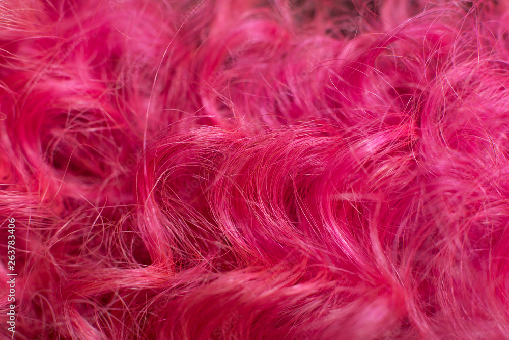 Fototapeta premium Pink hair, close-up stylish afro spiral curly hairstyle
