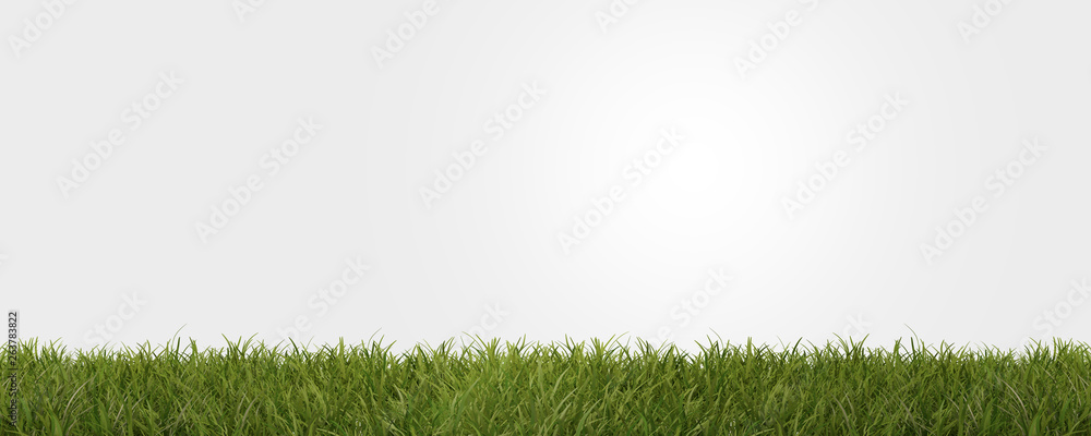 green grass 3d-illustration green grass 3d-illustration
