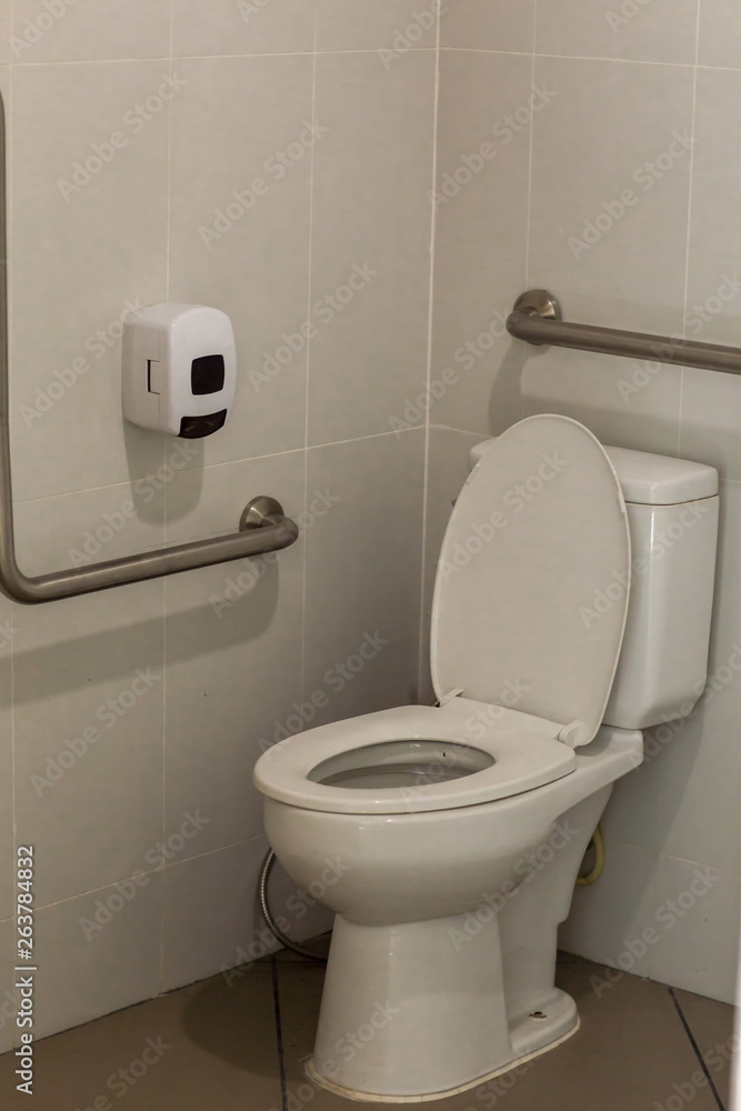 Decorative Toilet Seats Singapore Selection Online www