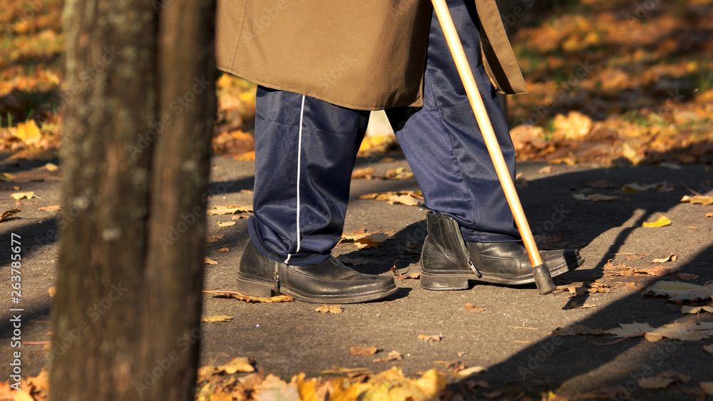 Senior man walking with cane in autumn park. Elderly male person with walking stick on sunny day, cropped image. Pensioner enjoying a golden autumn.