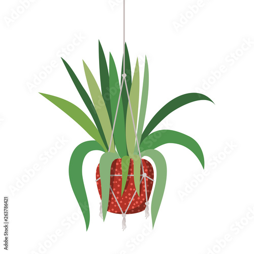 houseplant on macrame hangers icon