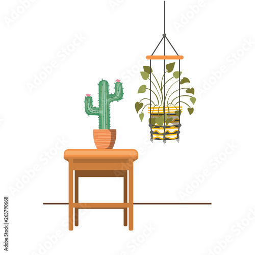 houseplants on macrame hangers and table