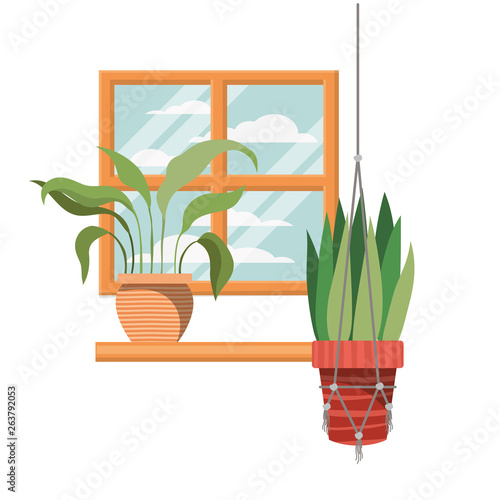houseplants on macrame hangers icon