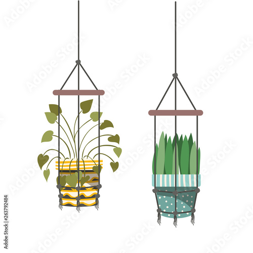 houseplants on macrame hangers icon