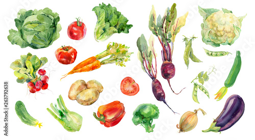 Watercolor painted collection of vegetables. Fresh colorful veggies background photo