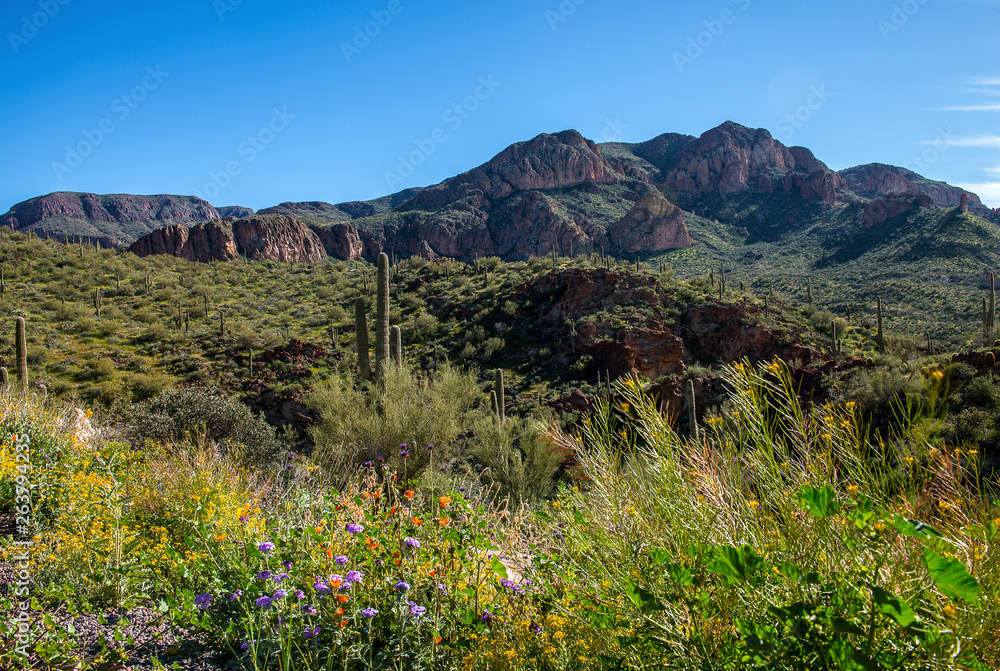 Superstition Mountains Arizona Superstition Mountains Arizona