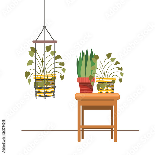 houseplants on macrame hangers and table