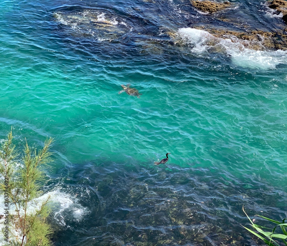 Fototapeta premium A magia da mãe natureza