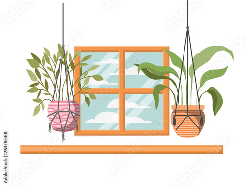 houseplants on macrame hangers icon