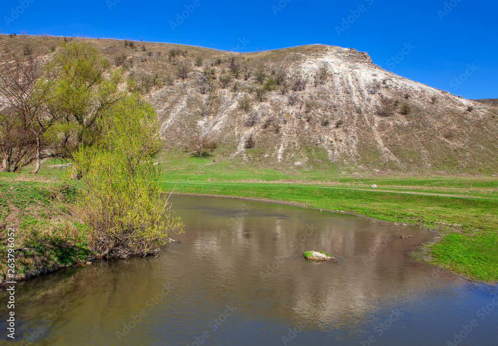 beautiful spring nature, little river flowing near hill