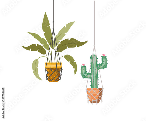 houseplants on macrame hangers icon