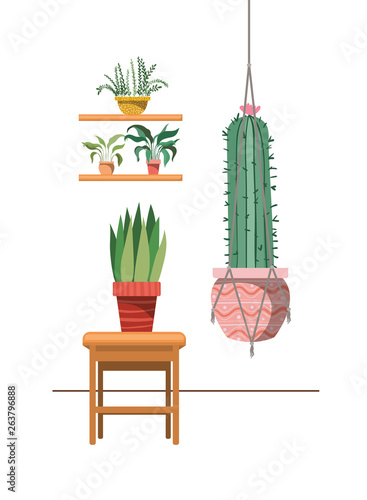 houseplants on macrame hangers and table