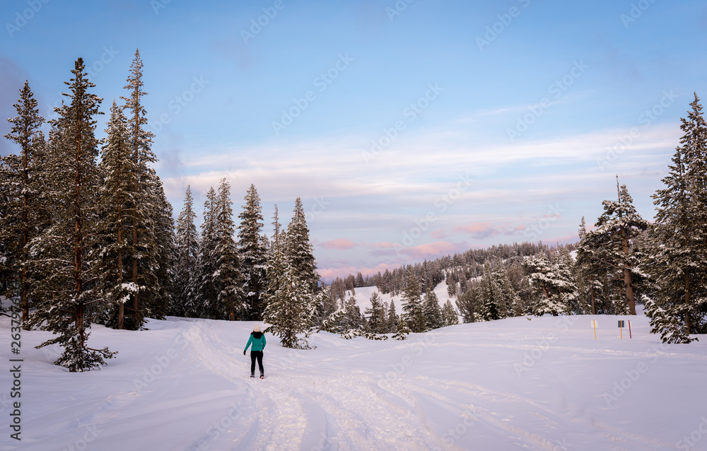 A solo female hiker treks across a snow covered mountain with pine trees, clouds and sunset colors in the sky