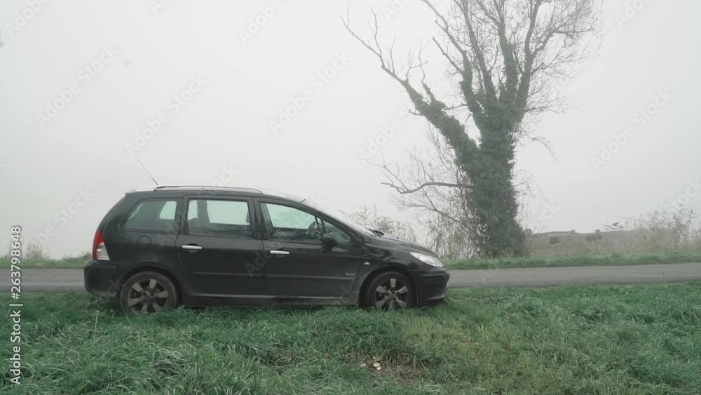 Young man in jacket jumps onto hood of black car and climbs onto the roof on a misty foggy day in a forest in France in slow motion Young man in jacket jumps onto hood of black car and climbs onto the roof on a misty foggy day in a forest in France in slow motion