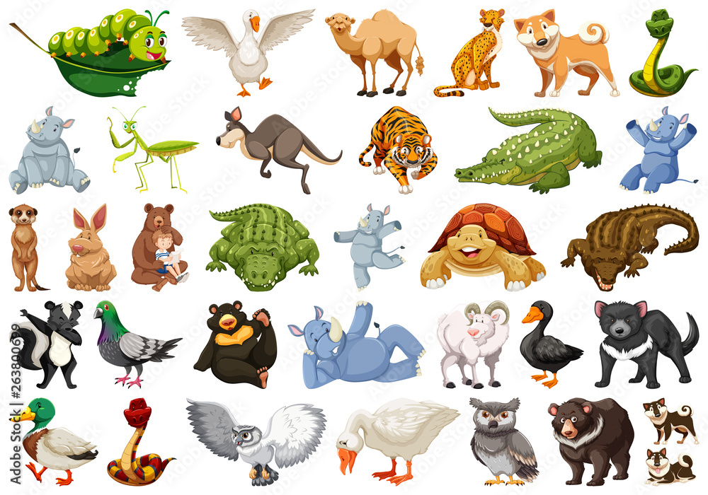 Fototapeta premium Set of wild animal