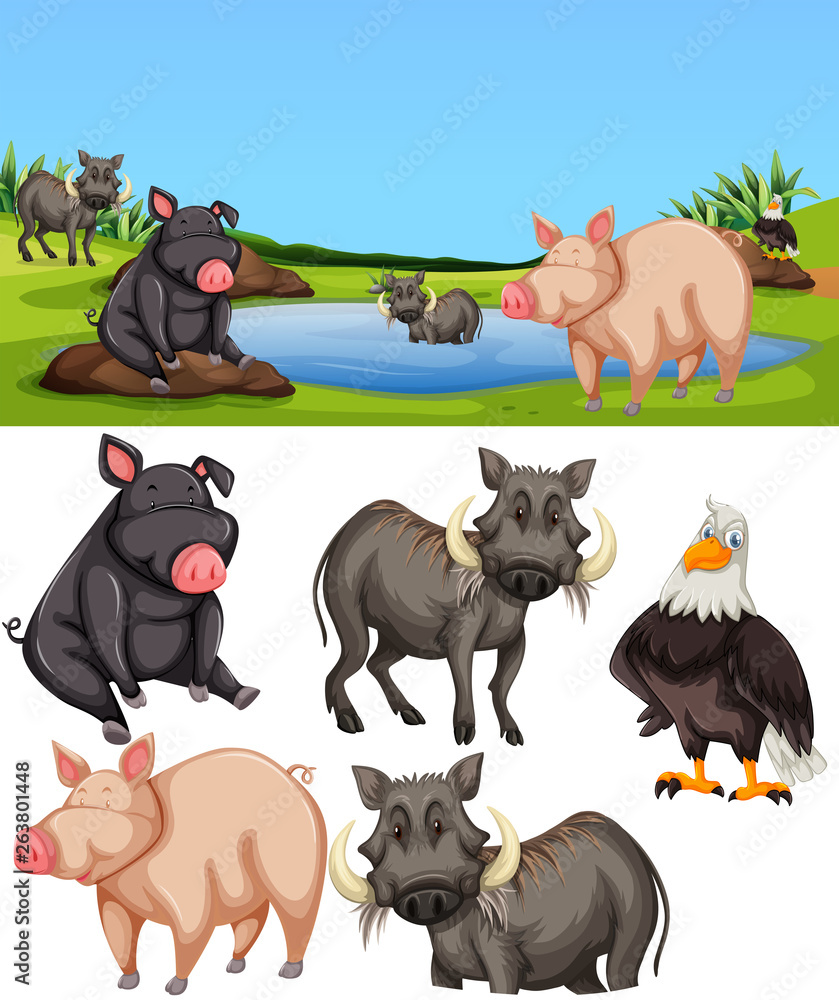 Animals in pond scene Animals in pond scene