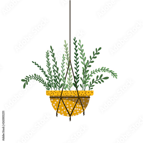 houseplant on macrame hangers icon