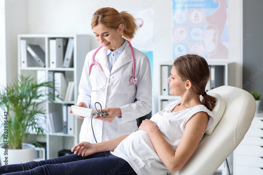 Fototapeta premium Young pregnant woman visiting her gynecologist in clinic