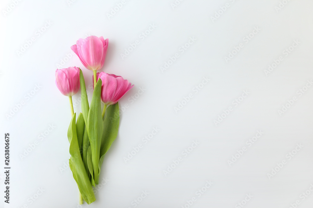 Obraz premium Beautiful tulip flowers on white background