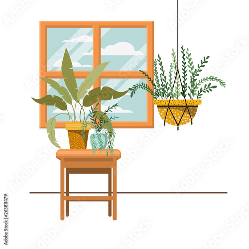 houseplants on macrame hangers and table