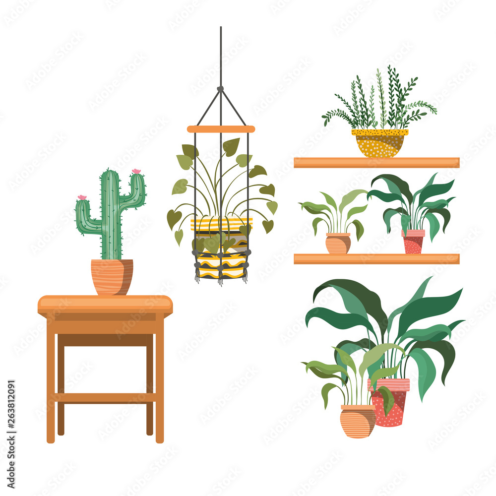 houseplants on macrame hangers and table houseplants on macrame hangers and table