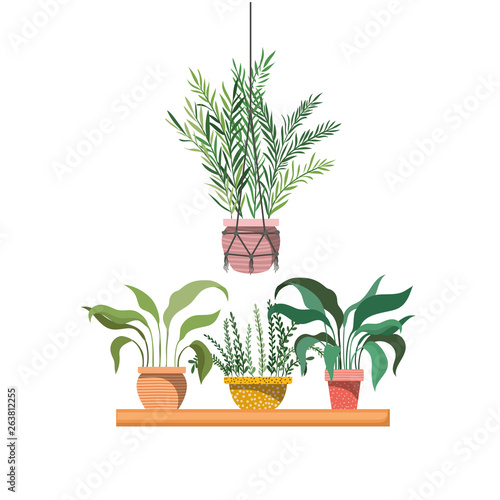houseplants with potted on shelf isolated icon