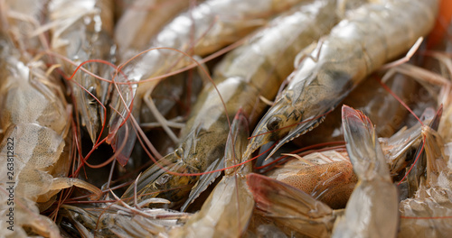 Фотография Stack of fresh shrimp
