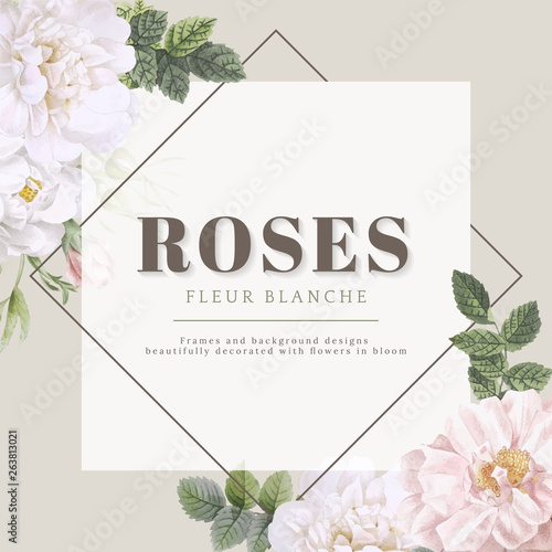 Roses fleur blanche card design