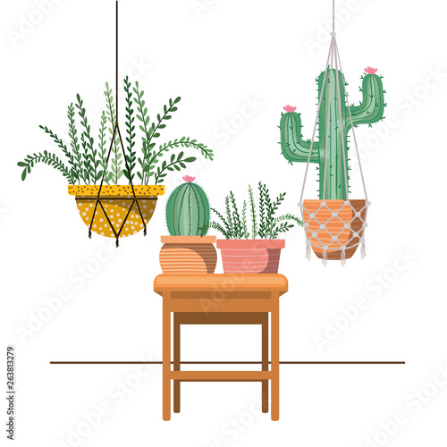 houseplants on macrame hangers and table