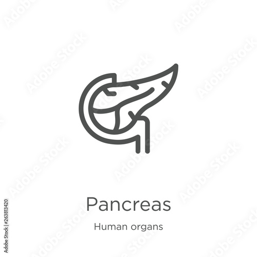 pancreas icon vector from human organs collection. Thin line pancreas outline icon vector illustration. Outline, thin line pancreas icon for website design and mobile, app development.