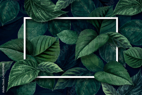 Forest leaf frame