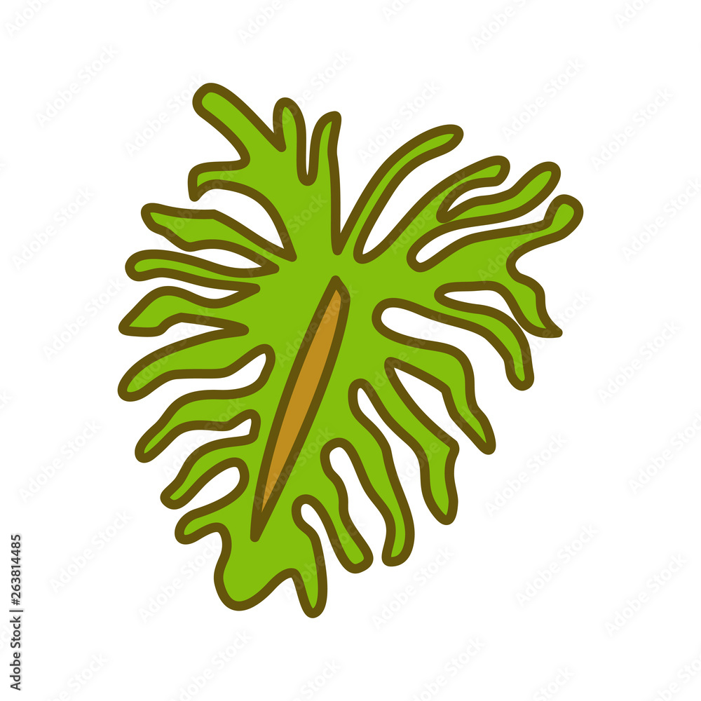 Leaf Tropical Design Illustration Template Vector Leaf Tropical Design Illustration Template Vector