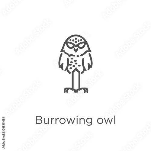 burrowing owl icon vector from owl collection. Thin line burrowing owl outline icon vector illustration. Outline, thin line burrowing owl icon for website design and mobile, app development.