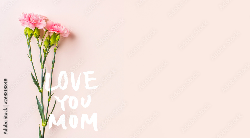 top view of carnation on pink for mothers day top view of carnation on pink for mothers day