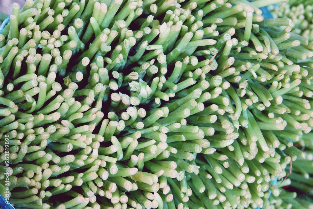 abstract cutting fresh green vegetables close up abstract cutting fresh green vegetables close up