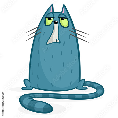 Cartoon cranky cat. Cute fat cartoon cat illustration with funny expression