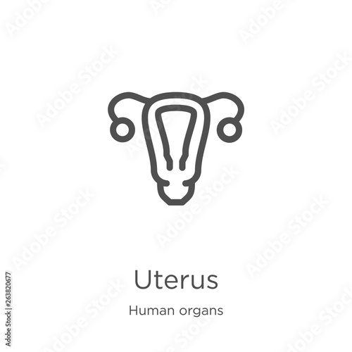 uterus icon vector from human organs collection. Thin line uterus outline icon vector illustration. Outline, thin line uterus icon for website design and mobile, app development.