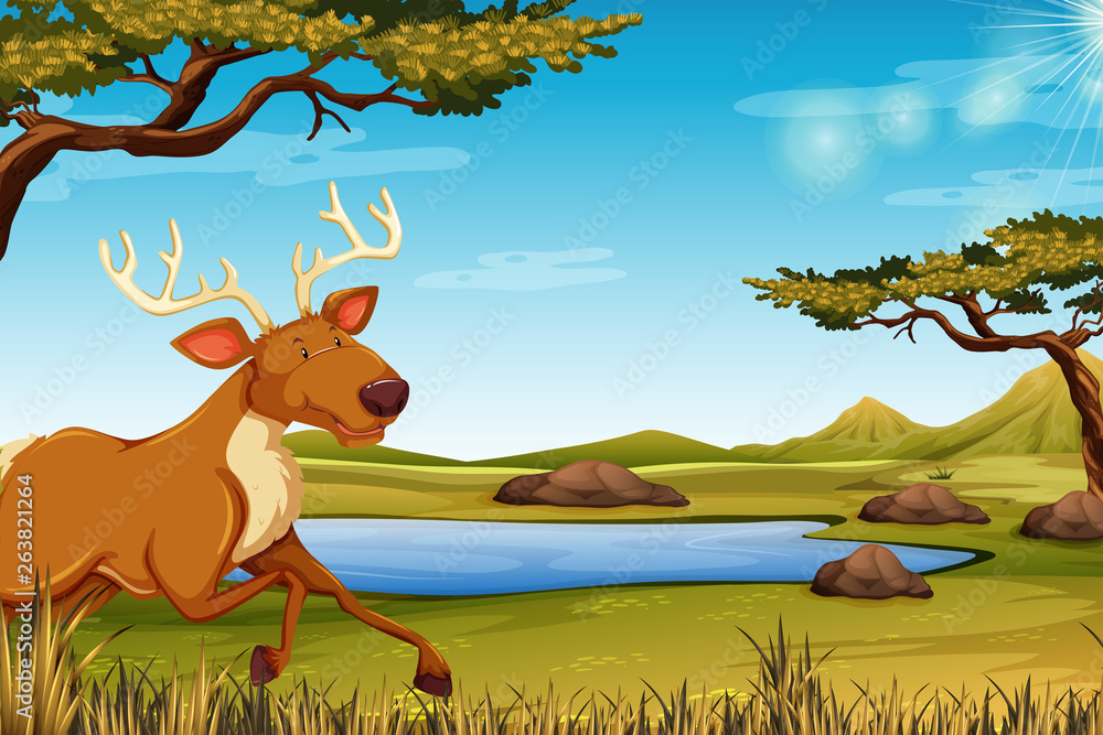 Happy deer in nature Happy deer in nature