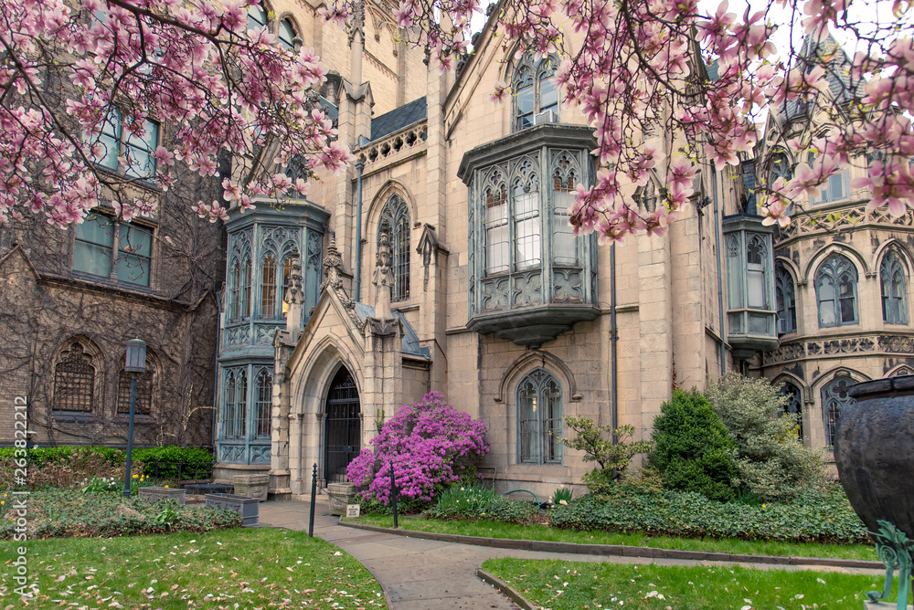 Gothic churchyard with purple spring flowers and overhanging blooms of a tulip magnolia tree tucked into a small city block. Metal details on windows oxidizing to a blue patina