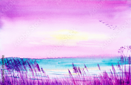 Beautiful summer landscape of the field on the lake at sunset. In the sky flies a flock of birds. Watercolor illustration