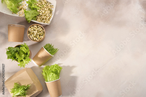 Biodegradable tableware and greens on light background. Environmental protection. Secondary processing. The concept of zero waste.
