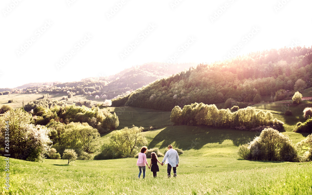 Rear view of senior couple with granddaughter on a walk outside in spring nature. - obrazy, fototapety, plakaty 