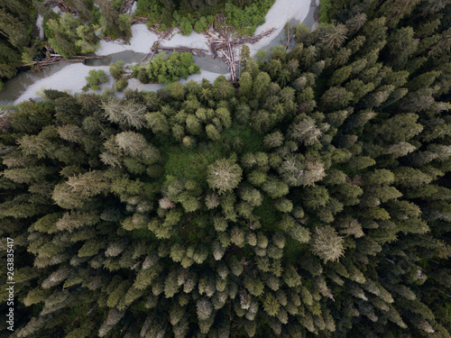 Carmanah Creek from above photo