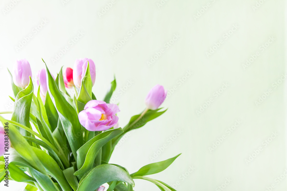 Obraz premium Bouquet of beautiful tulips