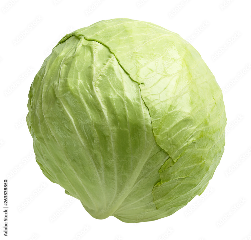 cabbage isolated on white background clipping path cabbage isolated on white background clipping path