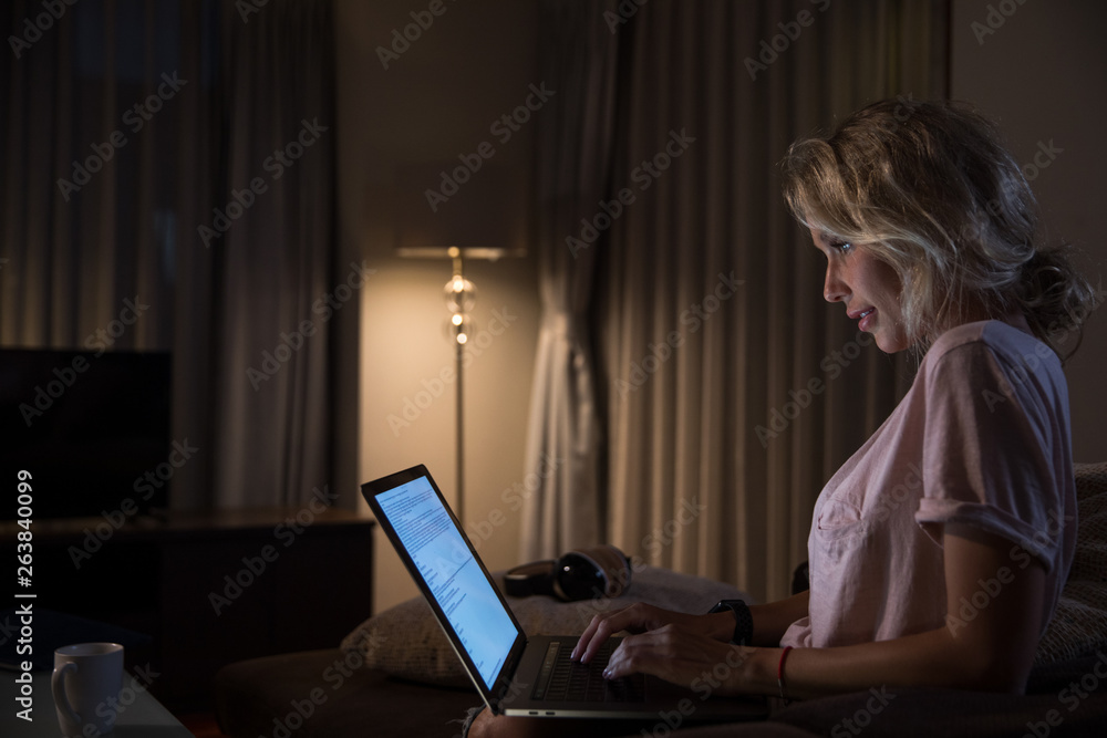 Smiling woman using her laptop Smiling woman using her laptop