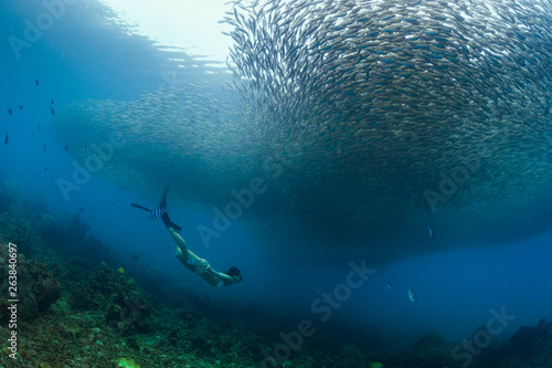 Swimming Model with Fish Underwater photo